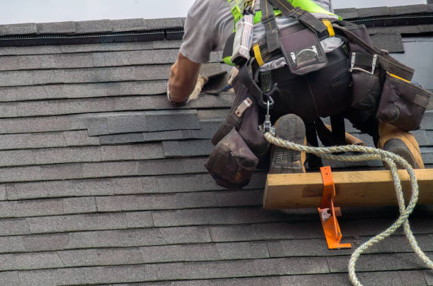 Best Roof Moss and Algae Removal  in Hanscom Af, MA